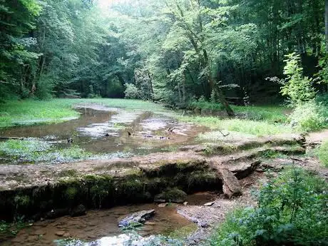 Photo de Source de l'Aube