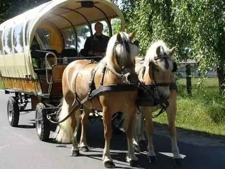 Photo de Kutschfahrten und Kremserfahrten Neuruppin/Kollan