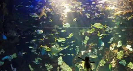Photo de Aquarium