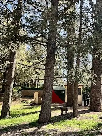 Photo de Forêt des macaques
