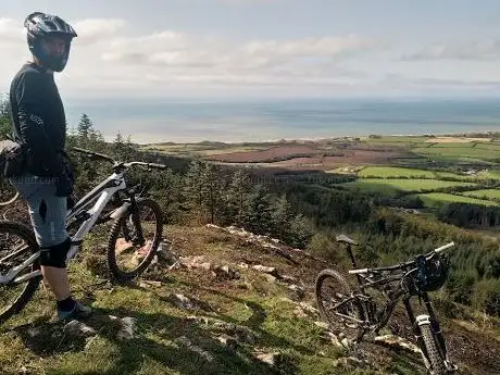 Ballymoyle Forest