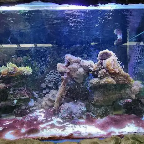 Foto de Edinburgh Zoo