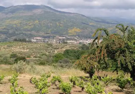 Photo de Mirador estelar