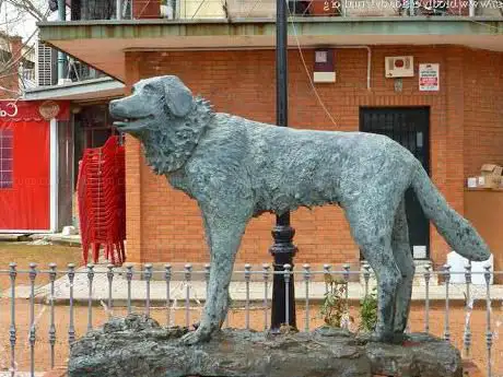 Photo de Estatua