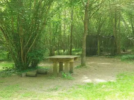 Photo de Paintball-One