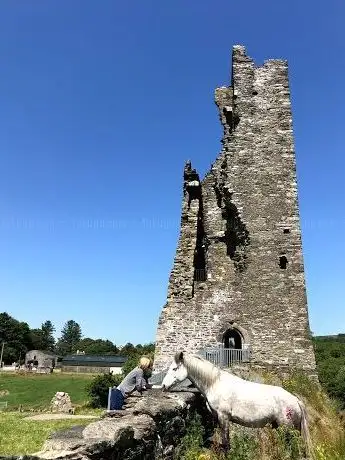 Photo de Castledonovan