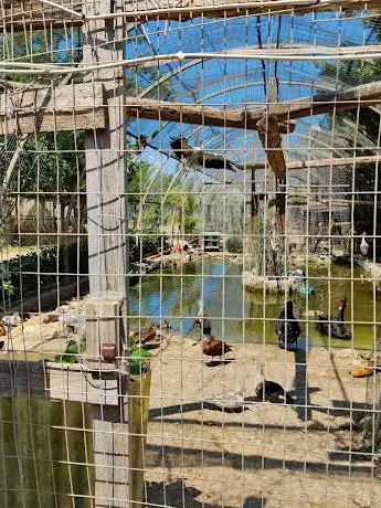 Photo de Parco Zootecnico Kamarinese