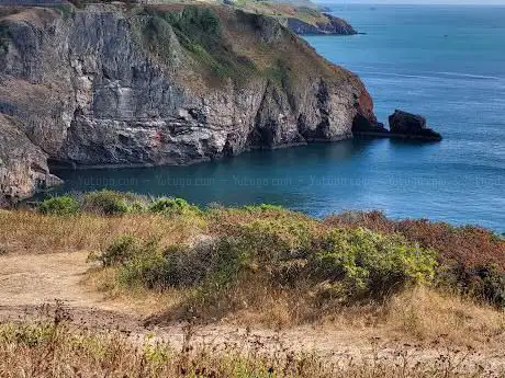 Photo de Berry Head National Nature Reserve