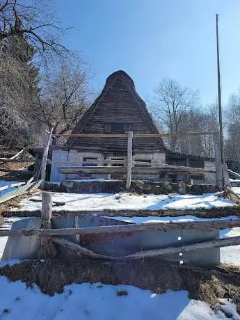 Photo de Malga Val Dumela