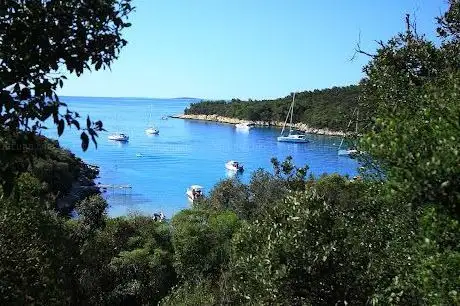 Photo de Uvala vela Planka