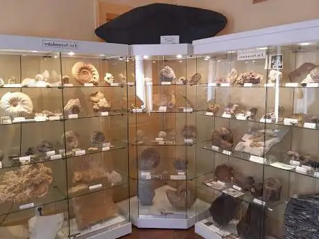 Photo de Musée des minéraux roches et fossiles des Ardennes
