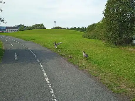 Craigavon City Park