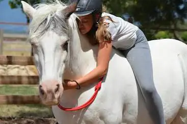 Photo de Lucky Horse