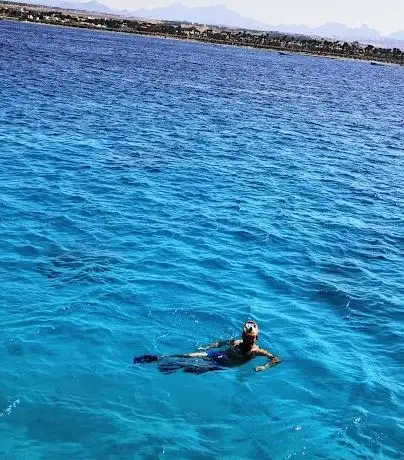 Photo de Egypt Divers