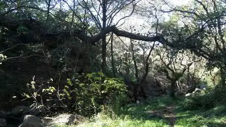 Photo de Garganta de Marchenilla