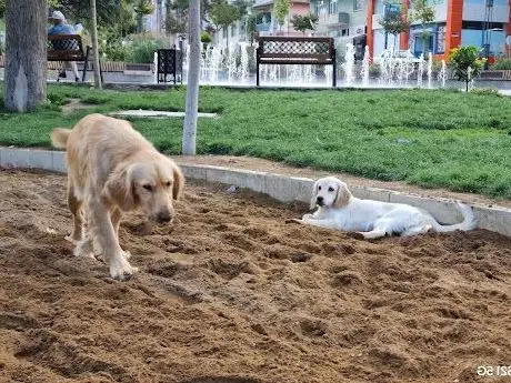 Photo de Demokrasi parkı
