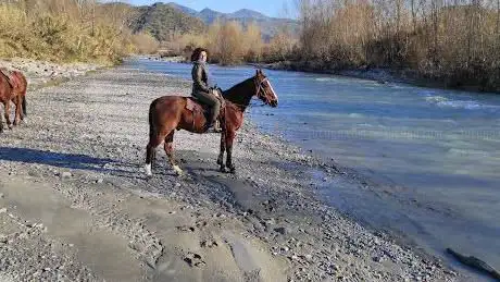 Photo de Sunshine Adventure Horses Power