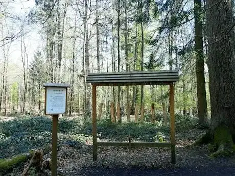 Photo de Walderlebnispfad