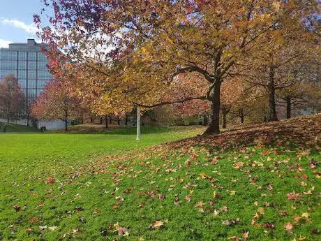 Photo de Parc de Vioño