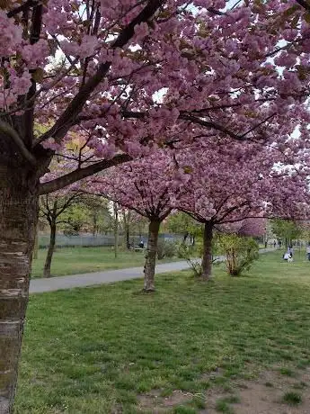Photo de Parco pubblico Monza - Don Valentini