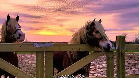 Photo de Steenberghoeve Ketelslegers