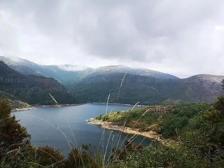 Photo de Mata de Albergaria (Gerês)