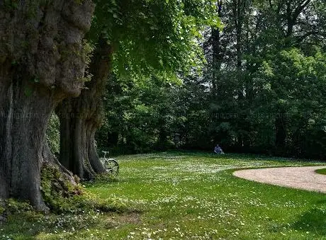 Photo de Corbally Park