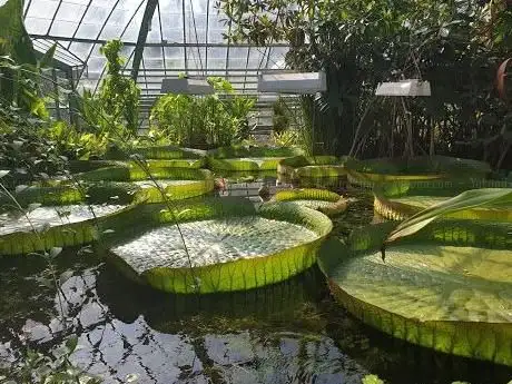 Photo of Jardin botanique de l'Université de Bâle