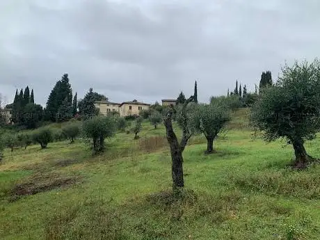 Photo de Riserva Naturale Statale Montecellesi