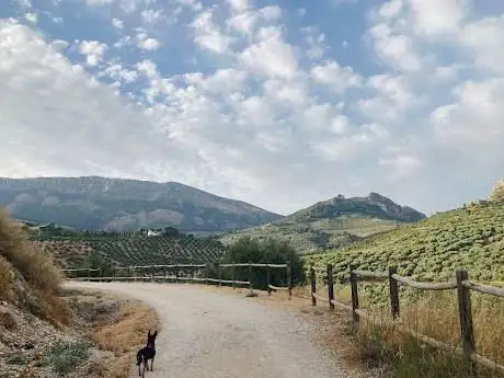 Photo de Camino Verde de ValparaÃÂso