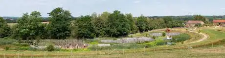 Photo de LimousinePark