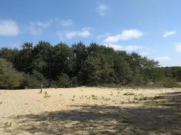 Photo de Oosthoekduinen