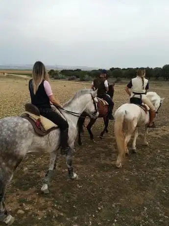 Photo de HÃ­pica Sauco