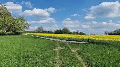 Photo de Steinackerwiese