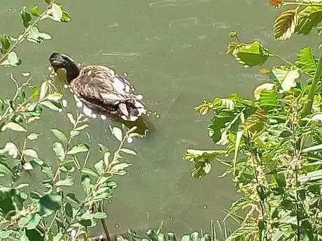 Photo of Parc Arc-en-Ciel