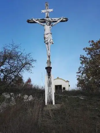 Photo de Falkensteiner Weinlehrpfad