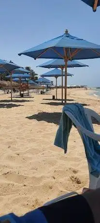 Photo de المنال 2