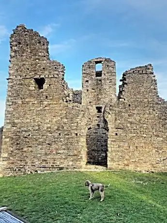 Photo de Rocca di Cerbaia