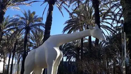 Photo de A Girafa de Fernanda Fragateiro
