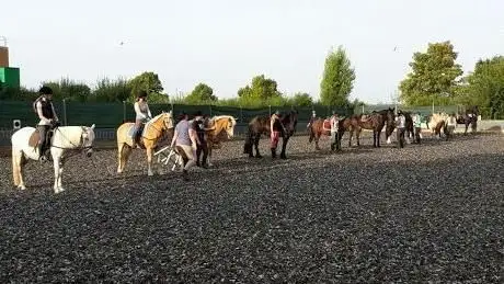 Photo de Jennys Reitschule Kutschfahrten zu allen Anlässen