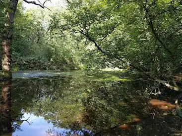 Photo de Delph Woods