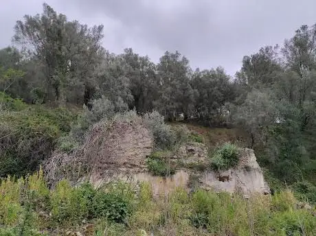 Photo de Grotta di Sant'Elia Speleota