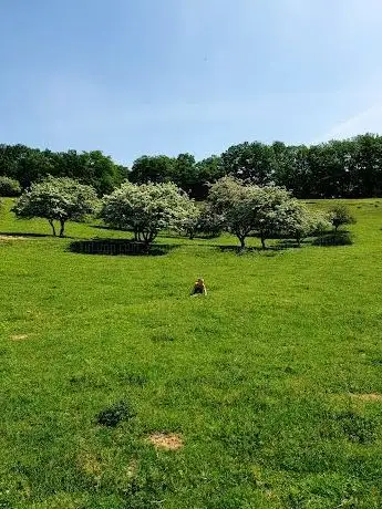 Photo de livada Kišelez