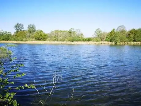 Photo de Doode Bemde