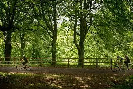 Photo de Limerick Greenway