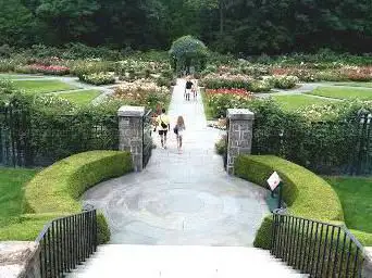 Photo de Peggy Rockefeller Rose Garden, NYBG