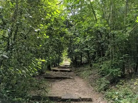 Photo de Vale dos Abetos