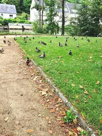 Photo de Pré aux Chats