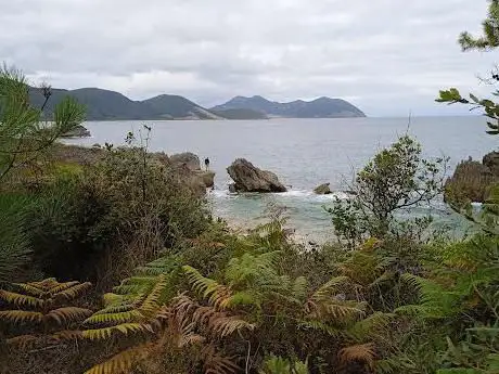 Photo de Cala Punta de la Mesa