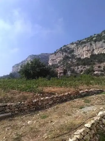 Photo de Park